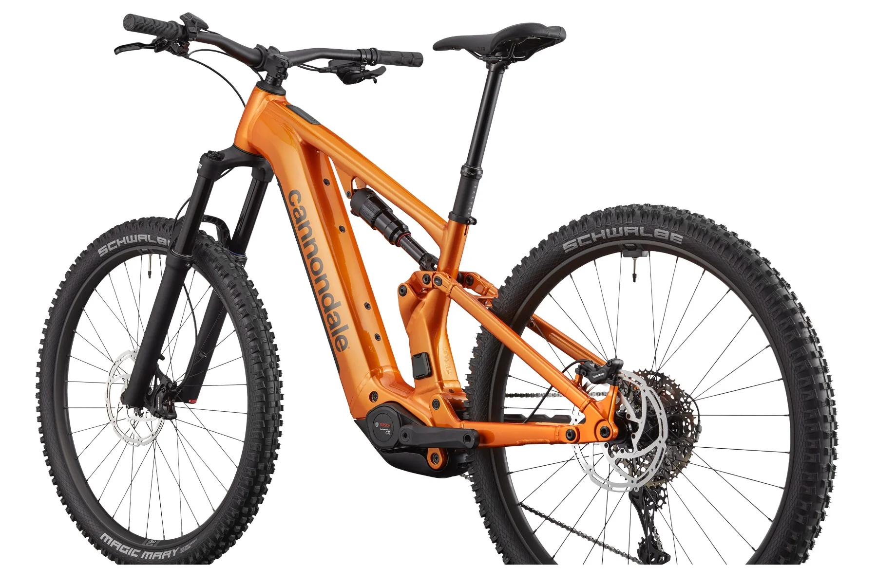 Moterra 4+ - Image 2