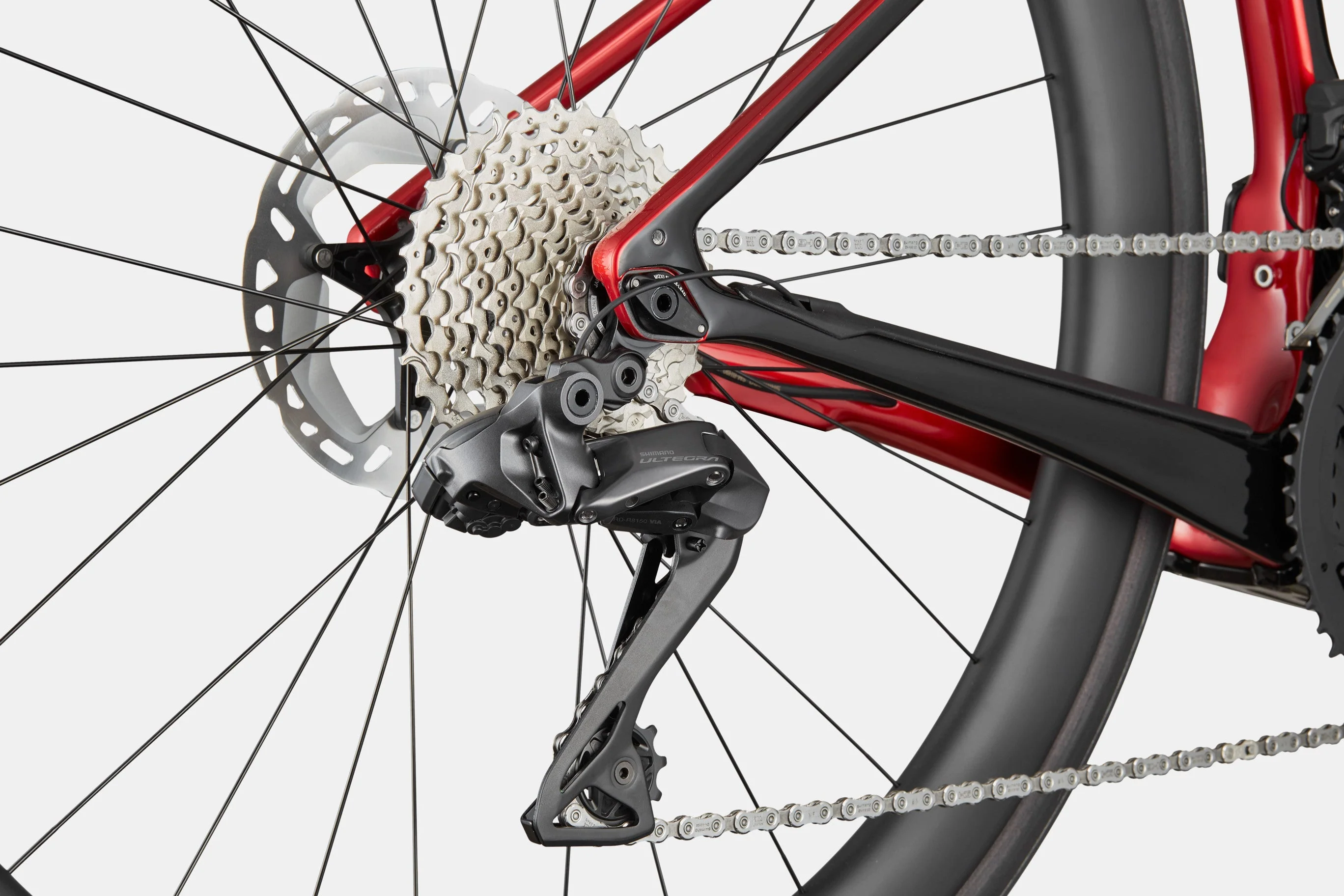 Synapse Neo - Image 6