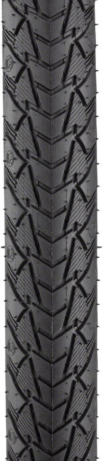 Contact Plus Tire - Image 2