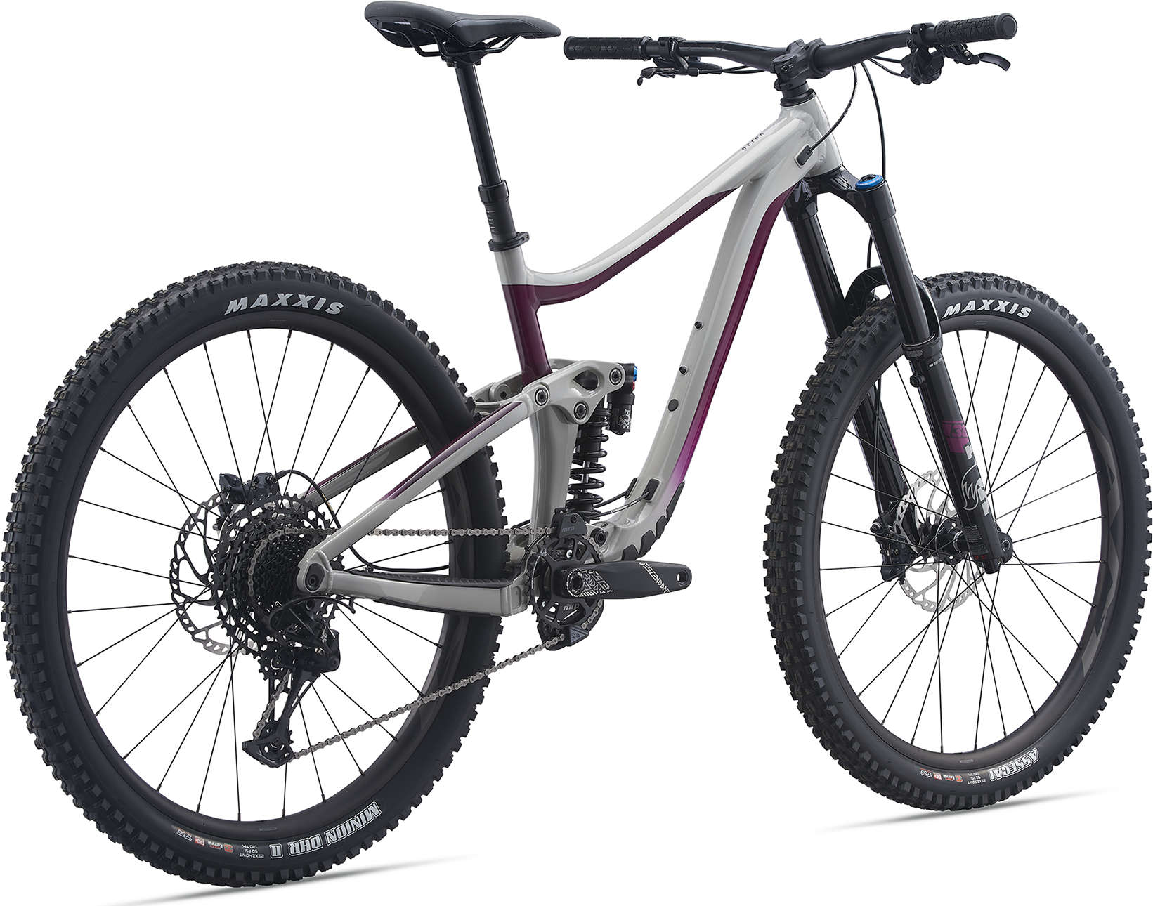Reign SX 29 (2021) - Image 2