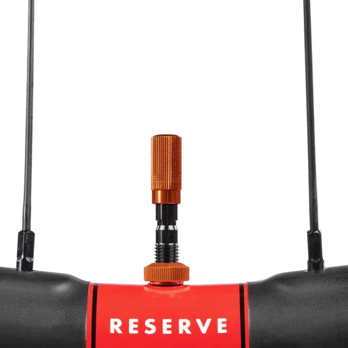 Fillmore Valve Cap Kit - Image 6