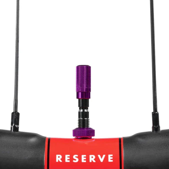 Fillmore Valve Cap Kit - Image 7